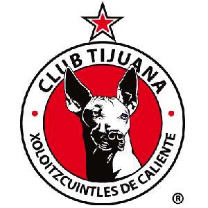 奥斯汀FC