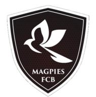 哥连泰1975FC